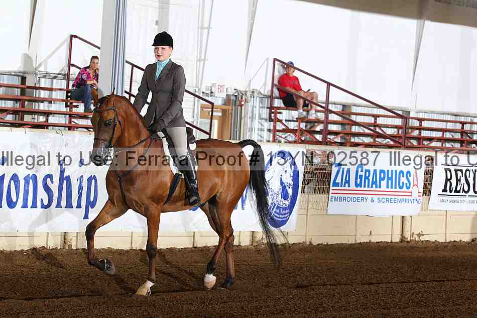 Proof 13yn_02587