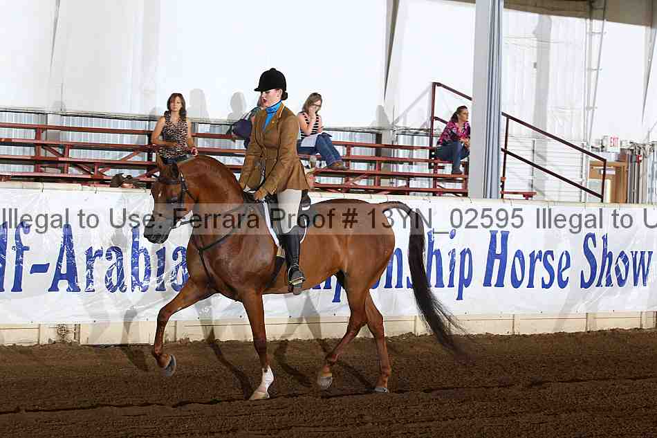 Proof 13yn_02595