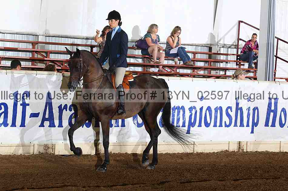 Proof 13yn_02597