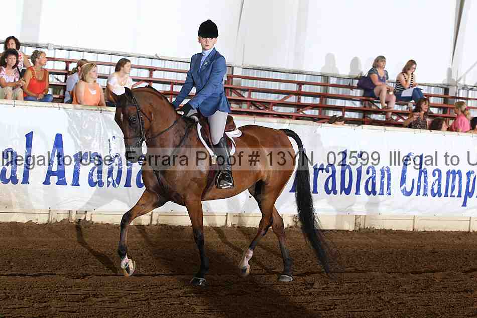 Proof 13yn_02599