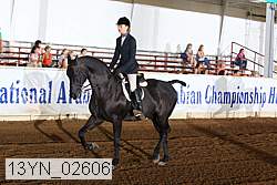 13yn_02606 proof