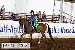 13yn_02624 proof