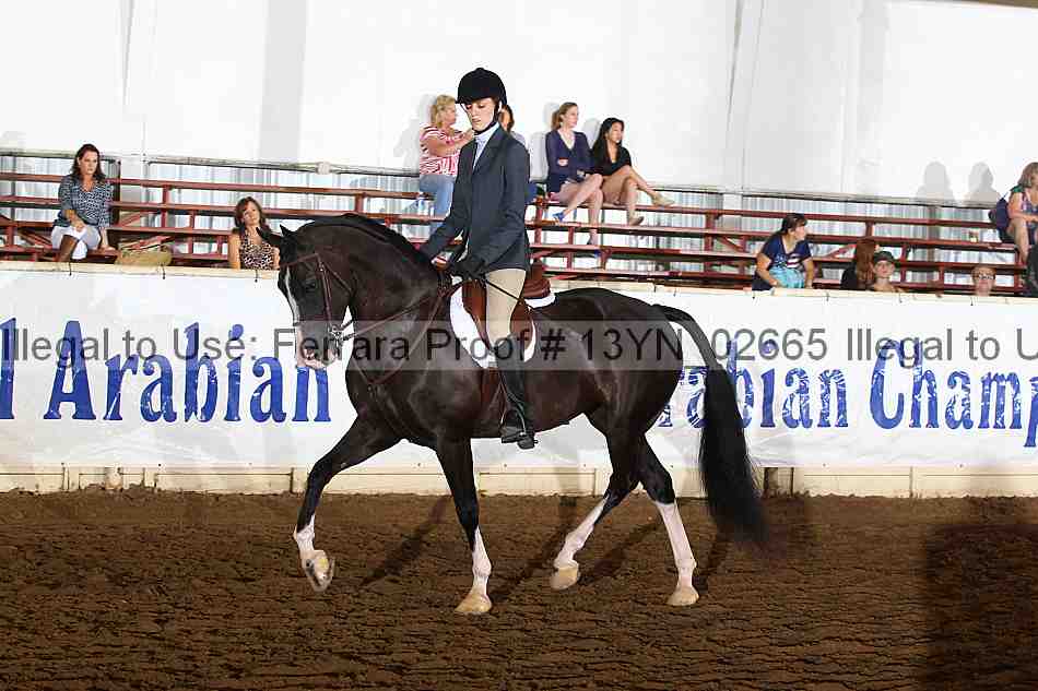 Proof 13yn_02665