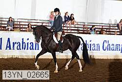 13yn_02665 proof