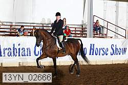 13yn_02666 proof