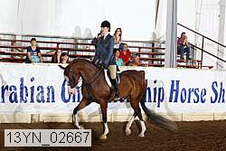 13yn_02667 proof