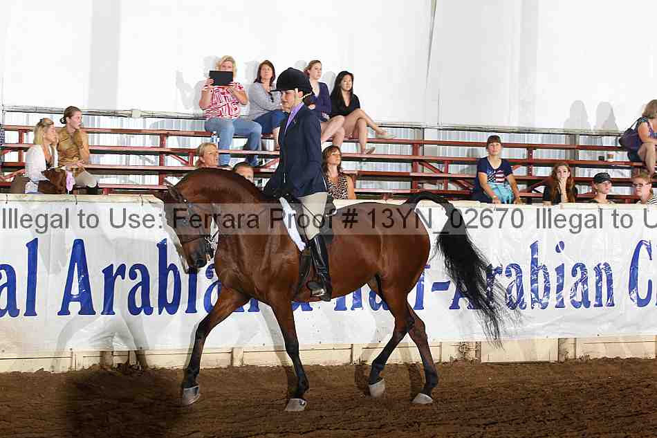 Proof 13yn_02670