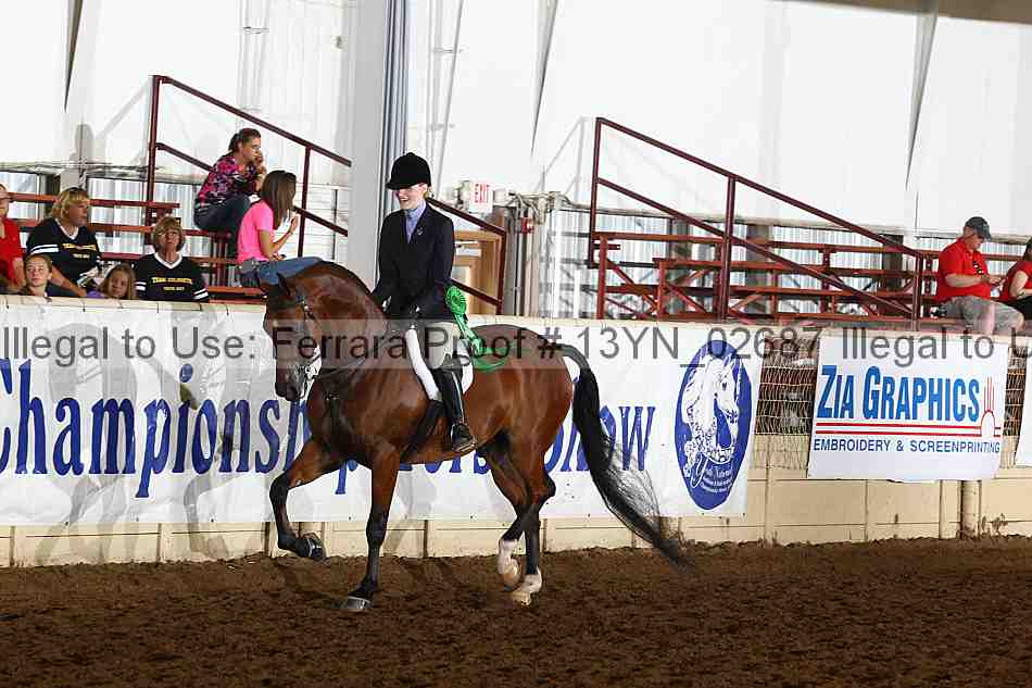 Proof 13yn_02687