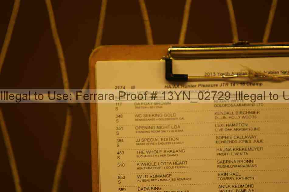 Proof 13yn_02729