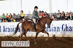 13yn_02737 proof