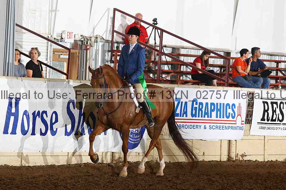 Proof 13yn_02757