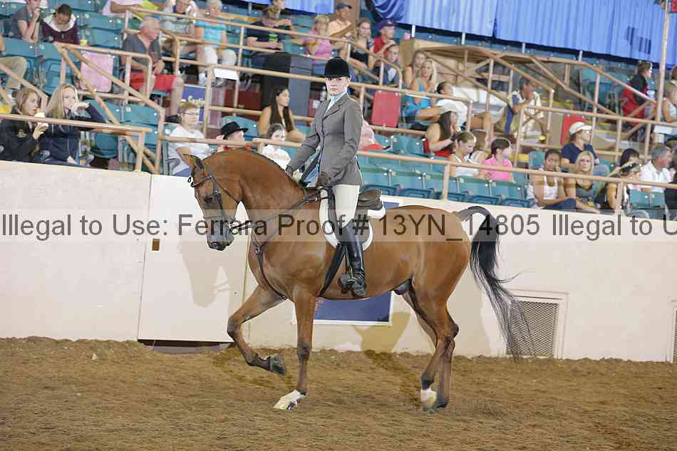 Proof 13yn_14805