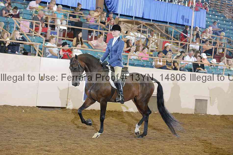 Proof 13yn_14806