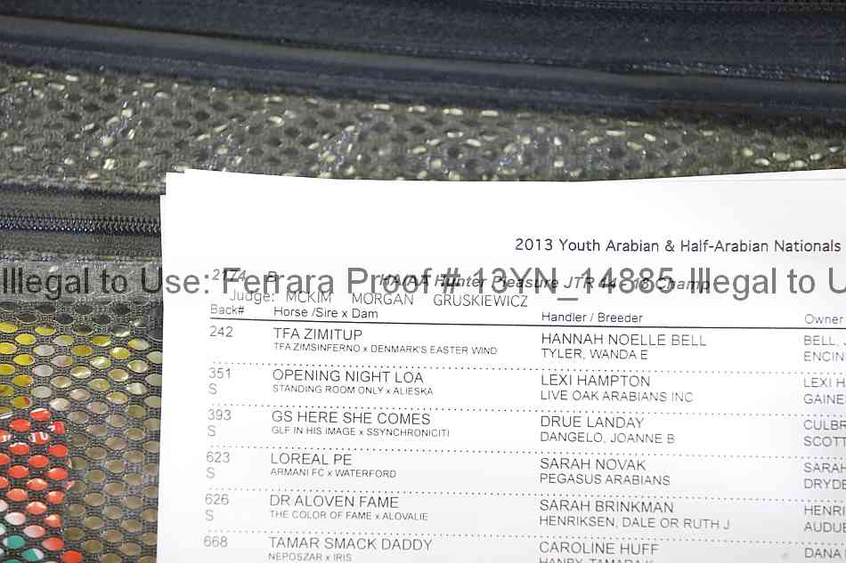 Proof 13yn_14885
