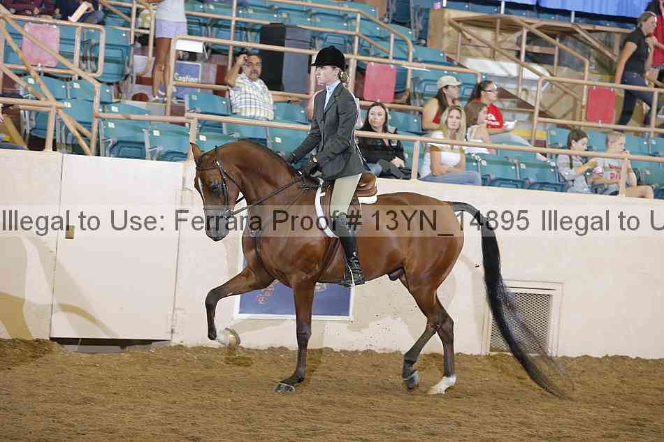 Proof 13yn_14895