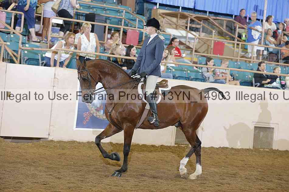 Proof 13yn_14903