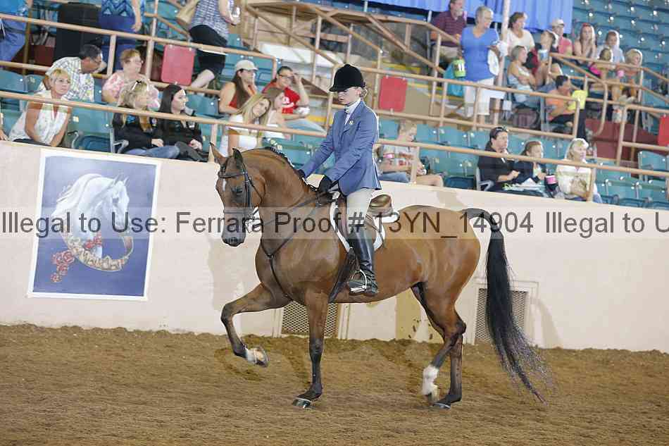 Proof 13yn_14904