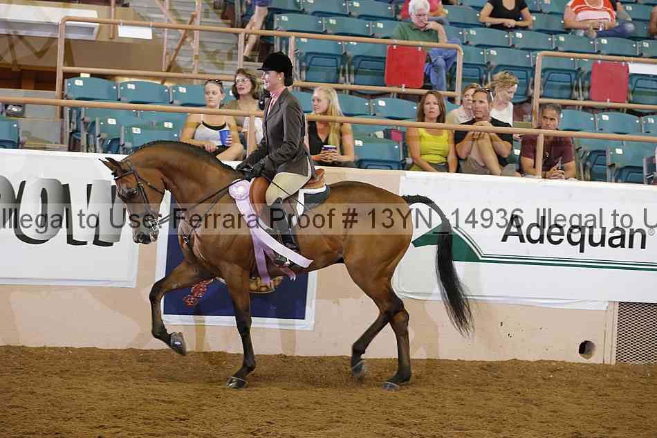 Proof 13yn_14936