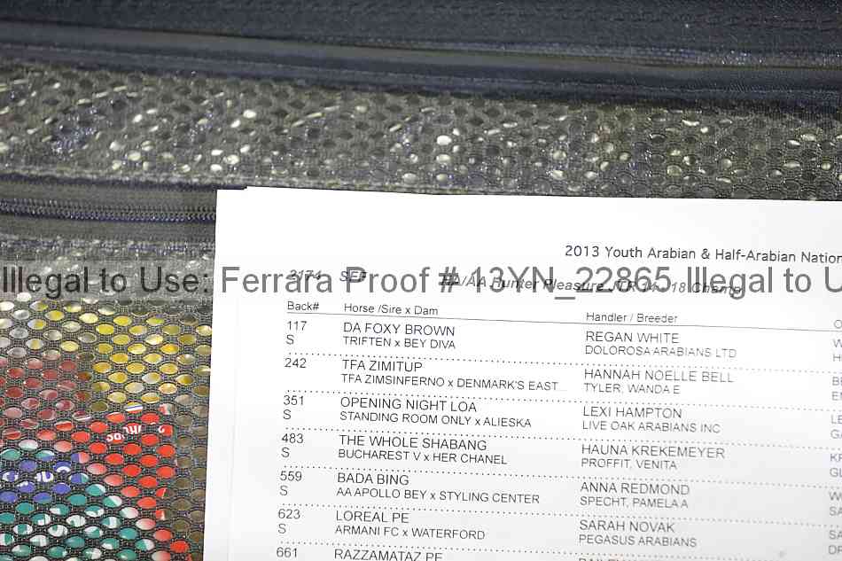 Proof 13yn_22865