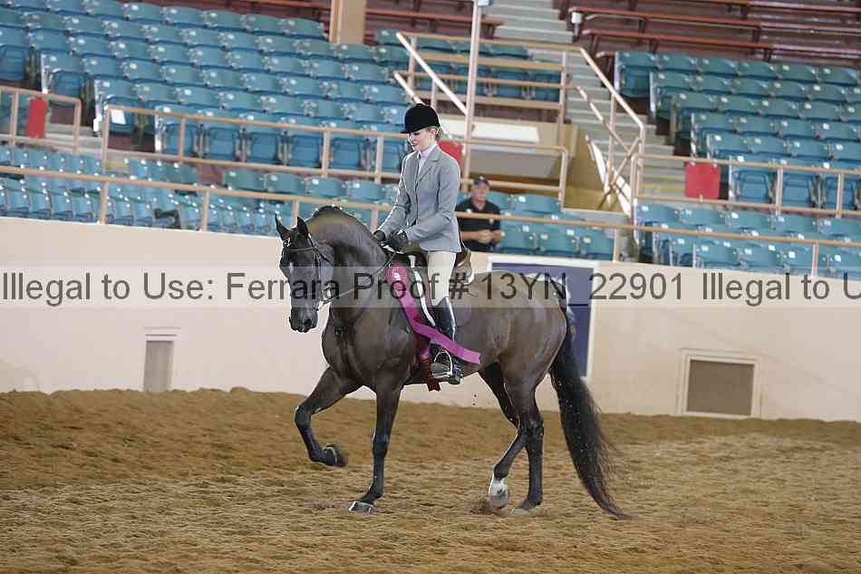 Proof 13yn_22901