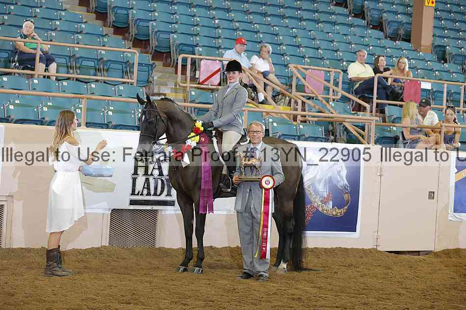 Proof 13yn_22905
