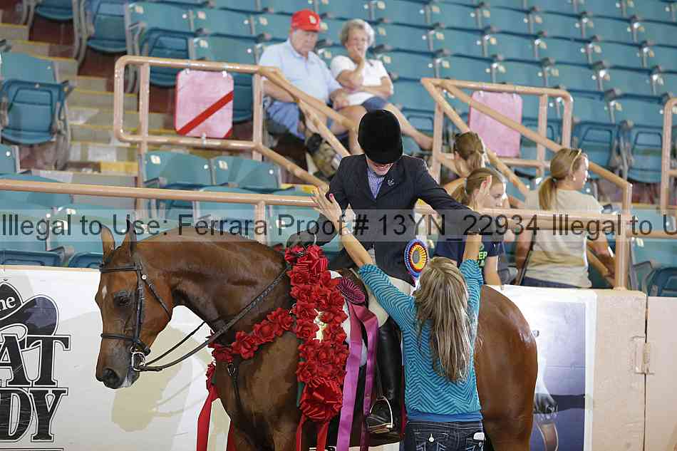 Proof 13yn_22934