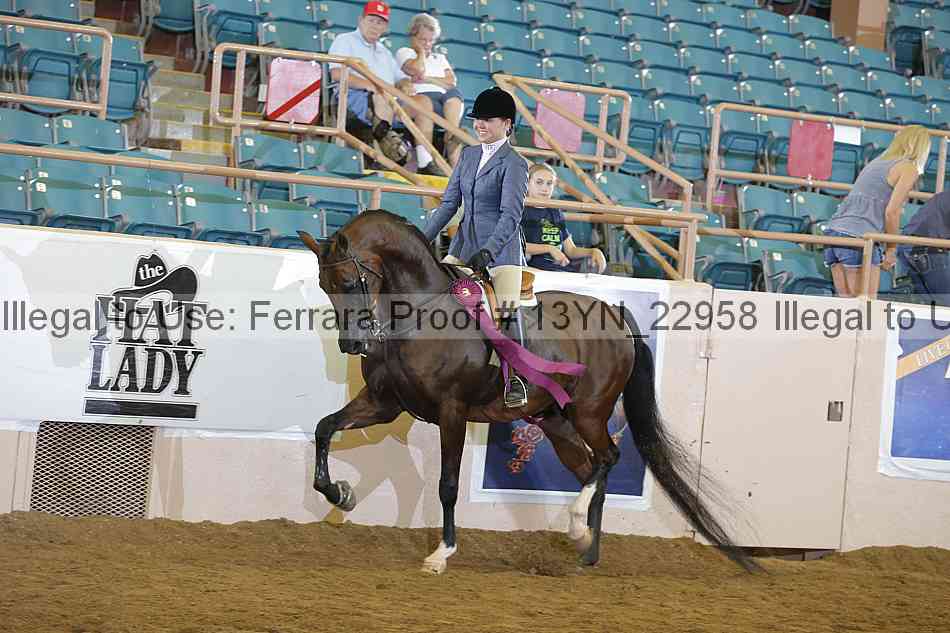 Proof 13yn_22958
