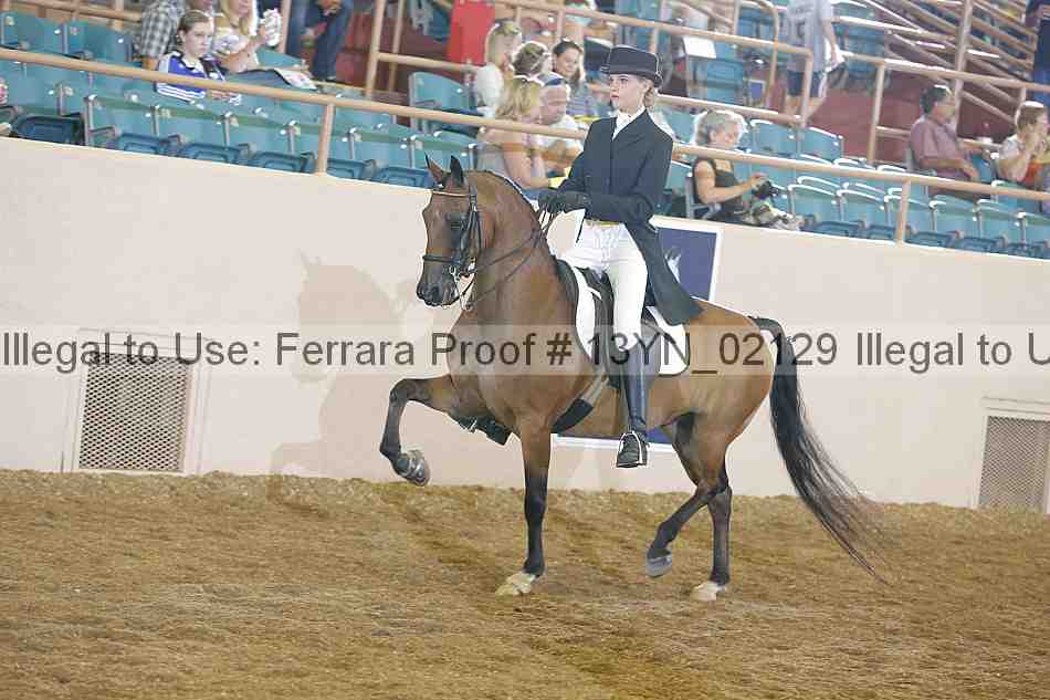 Proof 13yn_02129