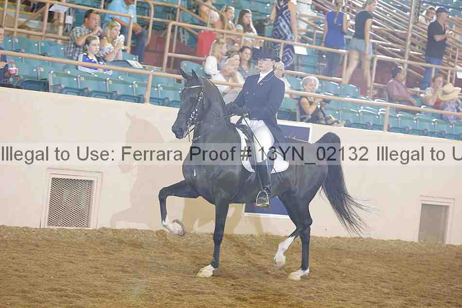 Proof 13yn_02132