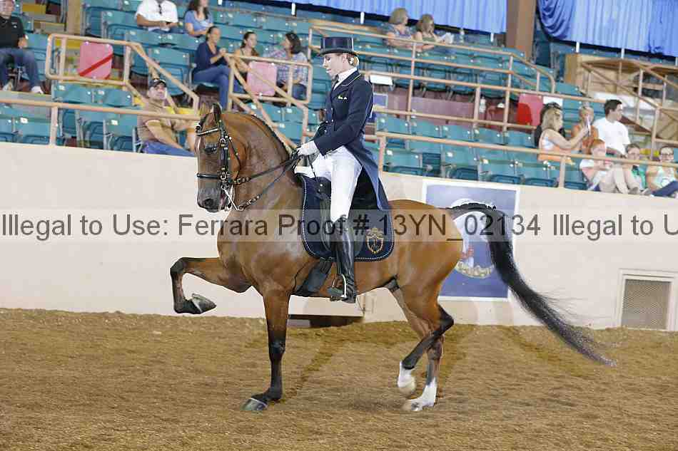 Proof 13yn_02134