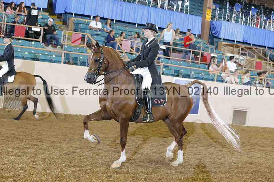 Proof 13yn_02140
