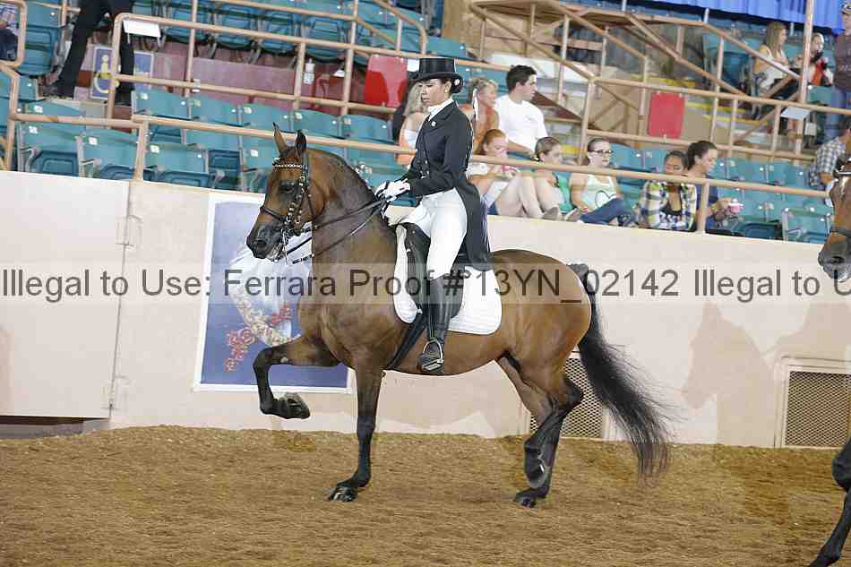 Proof 13yn_02142