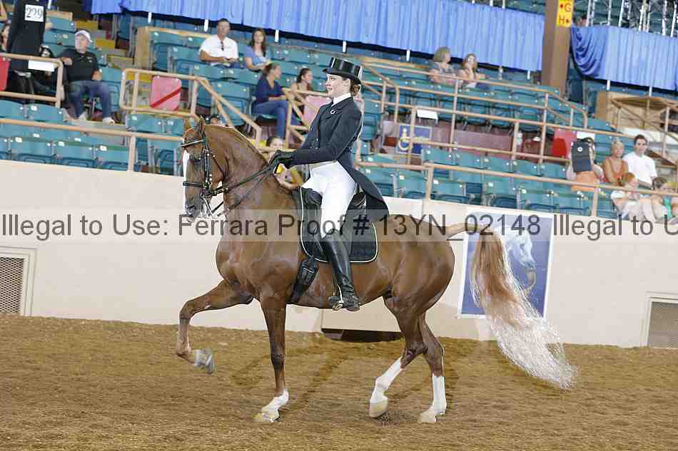 Proof 13yn_02148