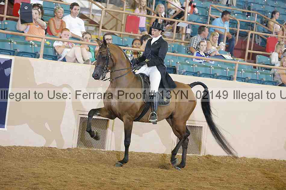 Proof 13yn_02149