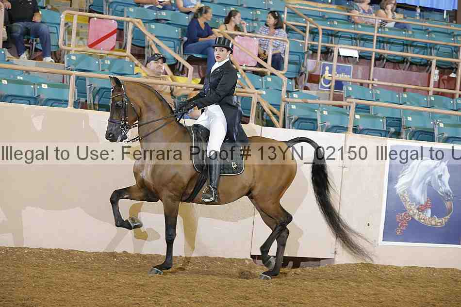 Proof 13yn_02150