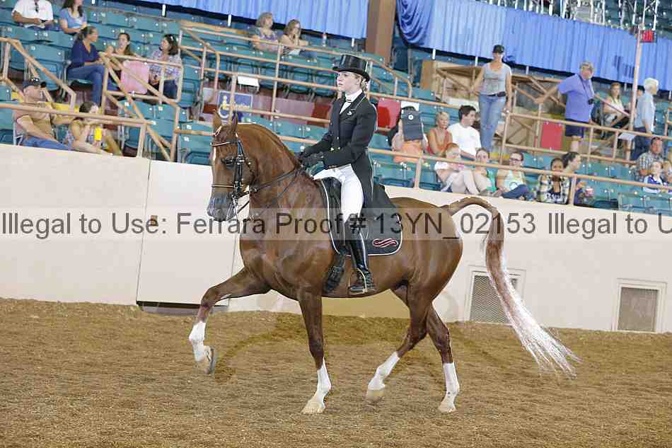 Proof 13yn_02153