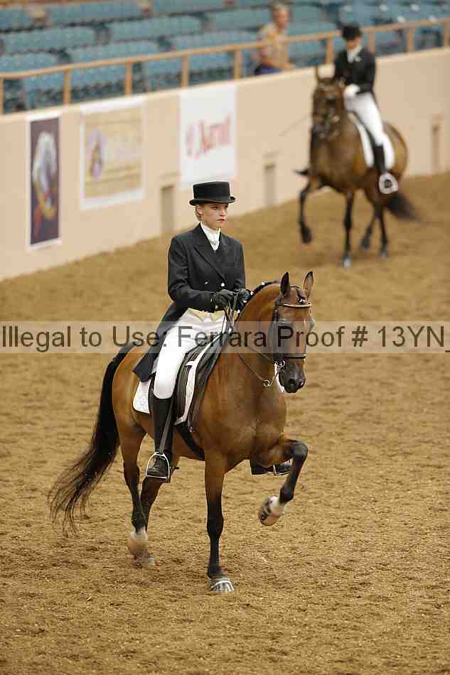 Proof 13yn_02155