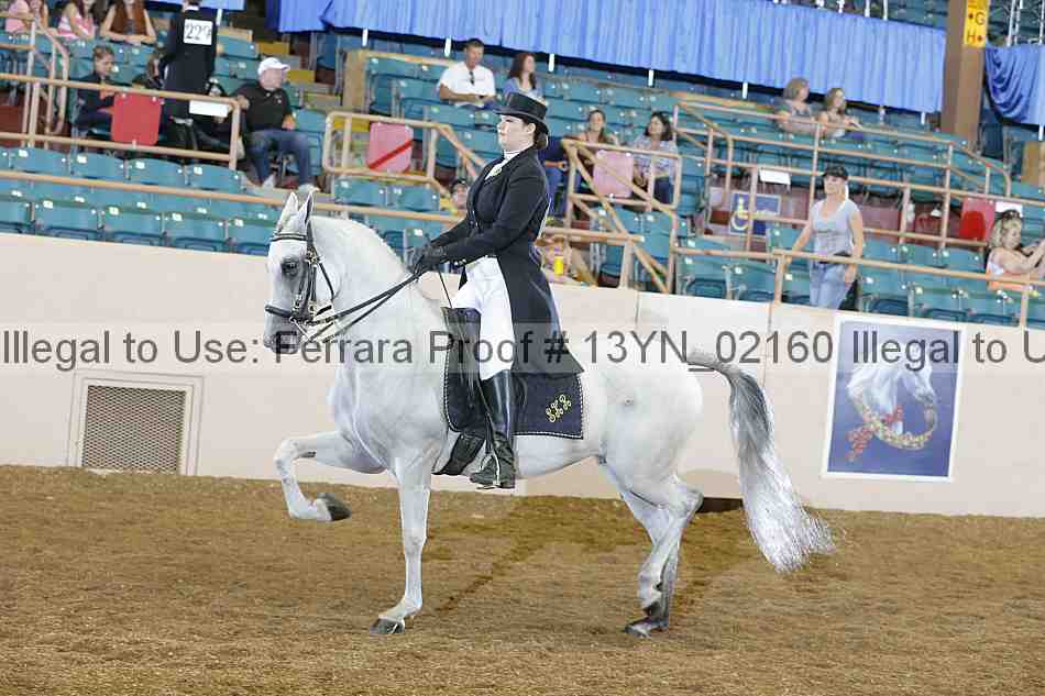 Proof 13yn_02160