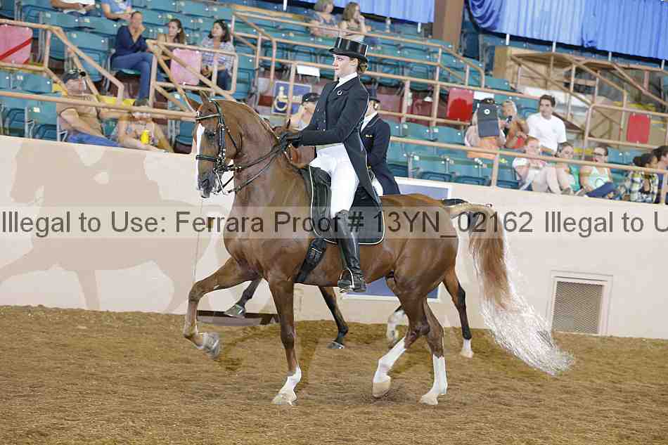 Proof 13yn_02162