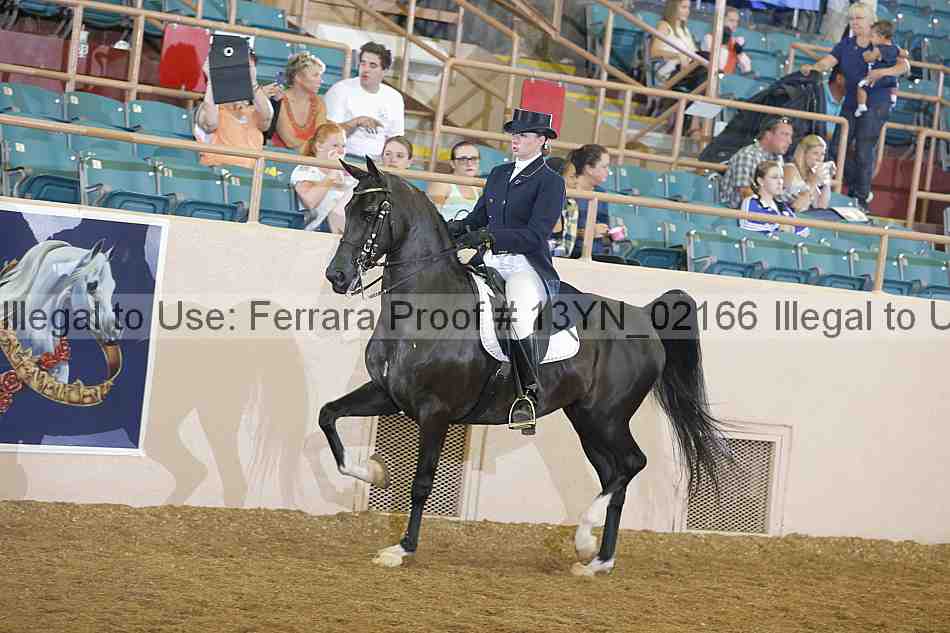 Proof 13yn_02166