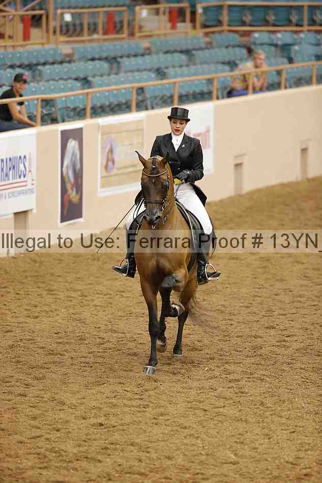Proof 13yn_02167