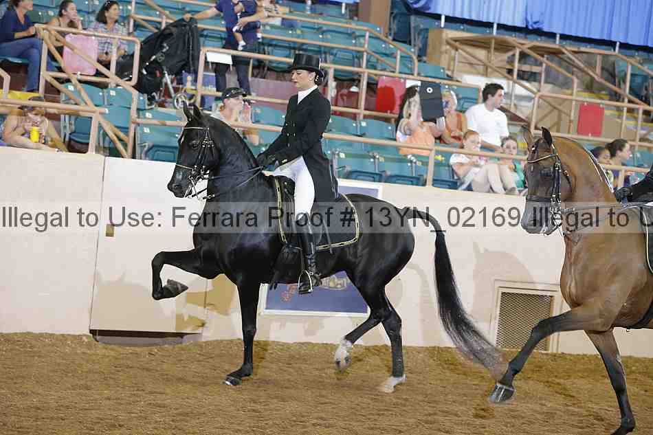 Proof 13yn_02169
