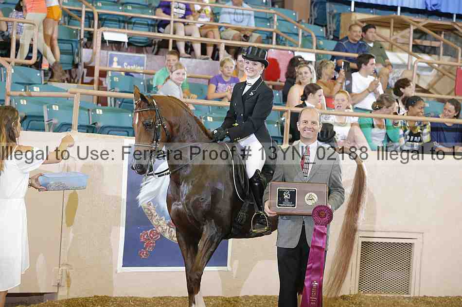 Proof 13yn_02188