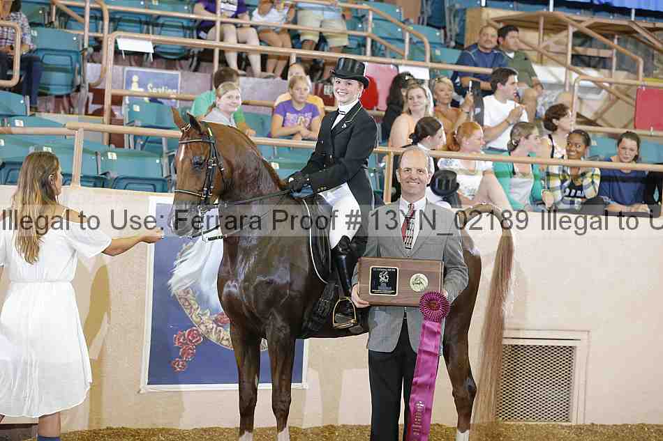 Proof 13yn_02189