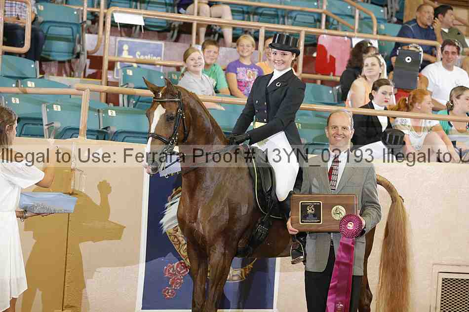 Proof 13yn_02193