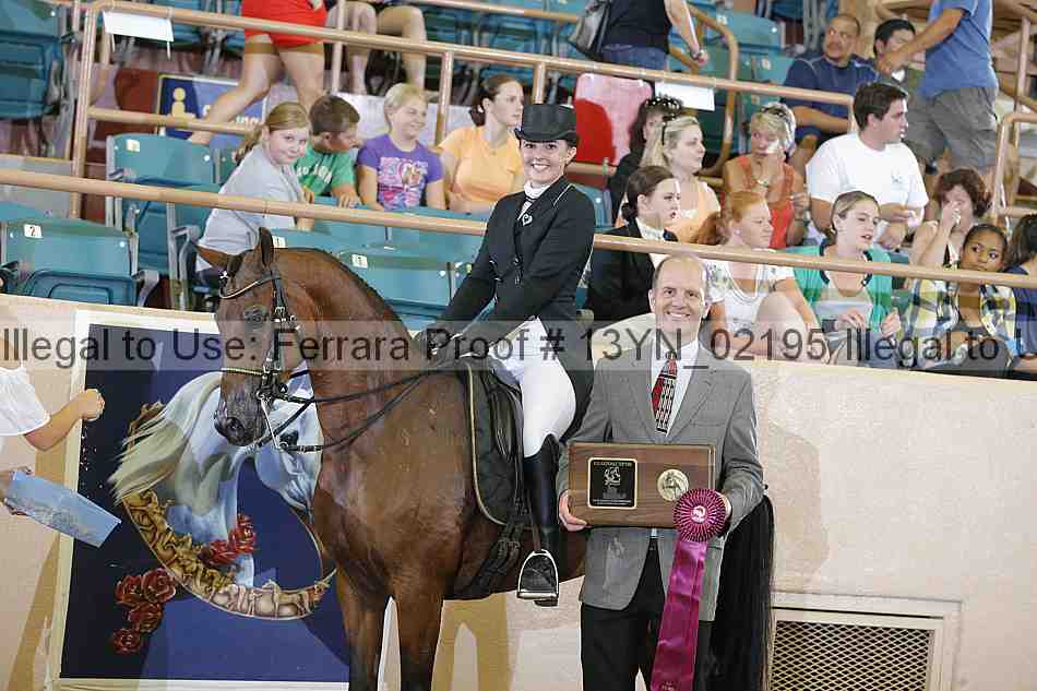 Proof 13yn_02195