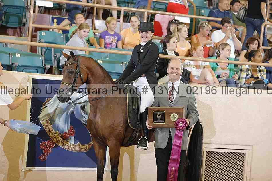Proof 13yn_02196
