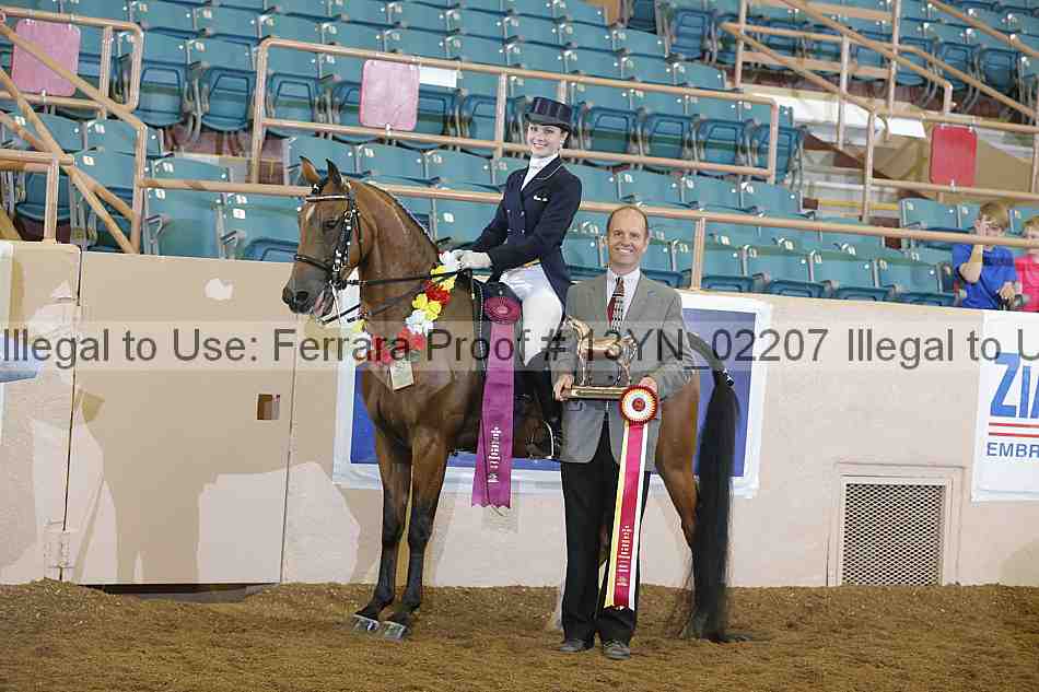 Proof 13yn_02207