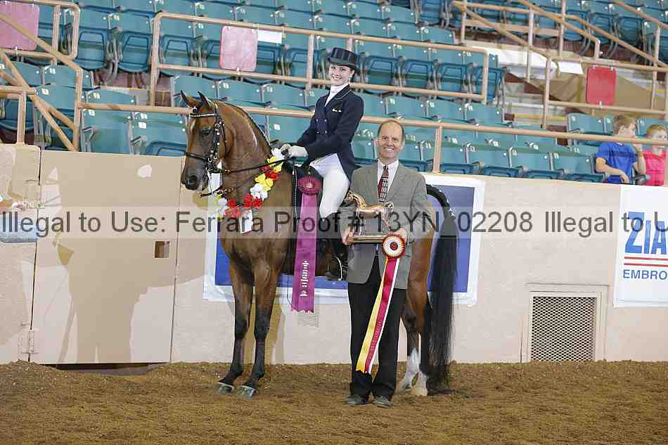 Proof 13yn_02208
