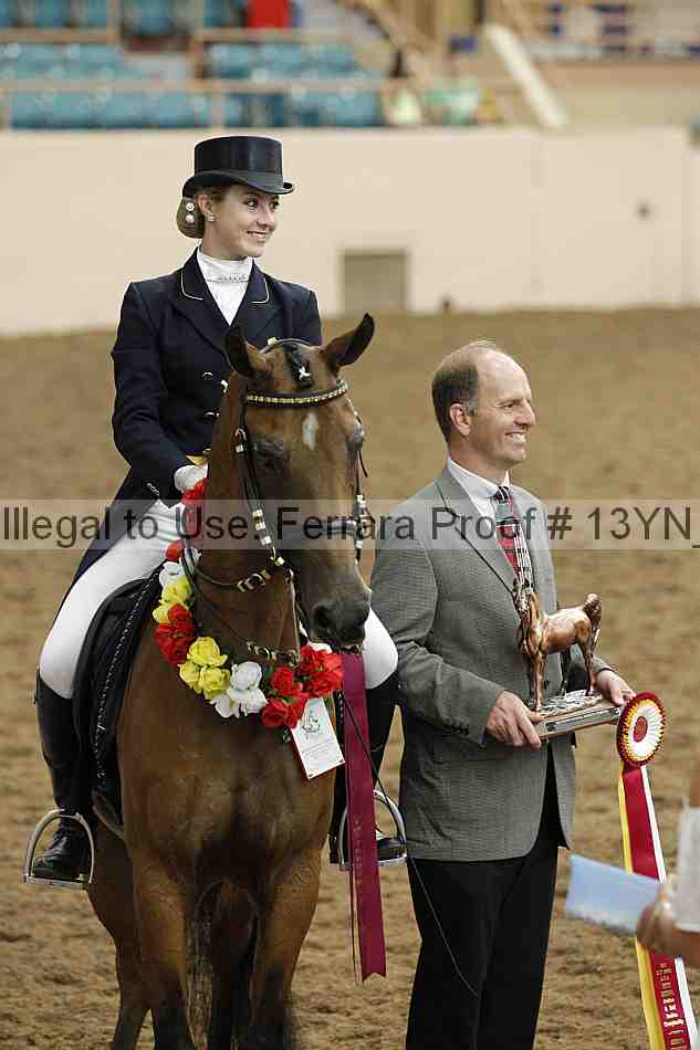 Proof 13yn_02209